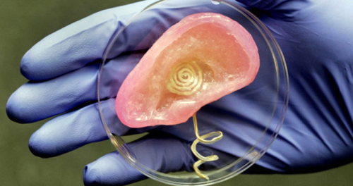 3D Yazc le retilen Organlar Salk Alannda Devrim Yaratacak