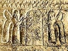 Anadolu'da 3000 Y�ll�k Mutasyon Gen Ke�fedildi