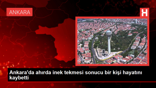 Ankara'da ahrda inek tekmesi sonucu bir kii hayatn kaybetti