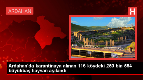Ardahan'da 250 Bin 554 Bykba Hayvana ap As Yapld