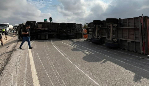 Balkesir'de canl hayvan tayan kamyon ile otomobil arpt: 3 yaral