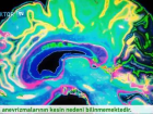 Beyin Anevrizması Nedir?