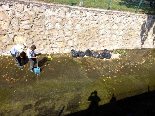 Bozyk Belediyesi, yosun younlamas olan kanallarda temizlik almas yapyor
