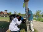 �anakkale'de Yanan Bo�a HAYTAP Emekli Hayvanlar �iftli�i'ne Getirildi
