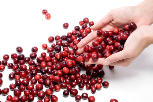 Cranberry, Mevsim Deiikliklerinde Bire Bir