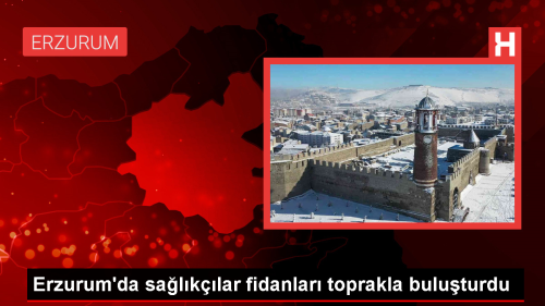 Erzurum'da salk alanlar fidanlar toprakla buluturdu