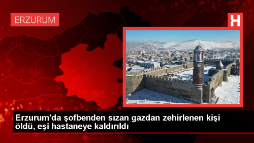 Erzurum'da ofben Gaz Zehirlenmesi: 1 l, 1 Yaral