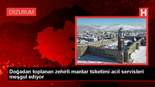 Erzurum'da Zehirli Mantarlar Nedeniyle Younluk
