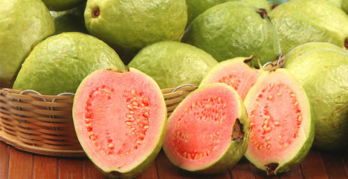 'Guava' Kansere Kar Koruyor