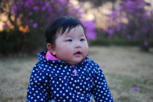 Gney Kore'de Dourganlk Orannn Dmesi Pediatri Kliniklerini Etkiledi