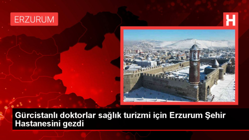 Grcistanl doktorlar salk turizmi iin Erzurum ehir Hastanesini gezdi