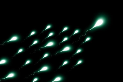 Hollanda'da Sperm Ba Yapan Adamn Yasaklanmas Kararlatrld