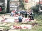 Kurban Bayram�'nda 'Kist Hidatik'e Dikkat Edilmeli