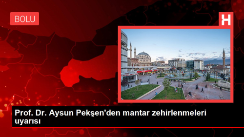 Prof. Dr. Aysun Peken'den mantar zehirlenmeleri uyars