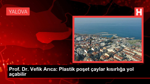 Prof. Dr. Vefik Arca: Plastik poet aylar ksrla yol aabilir