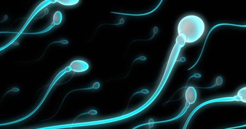 Sperm Says 50 Ylda Yzde 50 Azald! nsanln Sonu Gelebilir