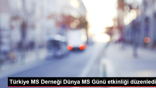 Trkiye MS Dernei, Dnya MS Gn dolaysyla etkinlik dzenledi
