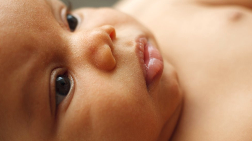  Kiinin Genini Tayacak Bebek in lk Klinik Lisans