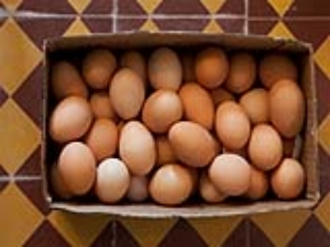 Yumurtann Yararlar