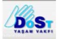 Dost Yaşam Down Sendromu Vakfı
