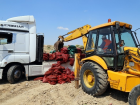 10 Ton Bozuk Midye �mha Edildi