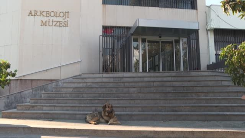 2 bin 300 ya��ndaki 