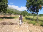 2 bin 535 rak�ml� K�pe Da��'n�n eteklerinde �ifa kayna�� ar� s�t� �retiyor