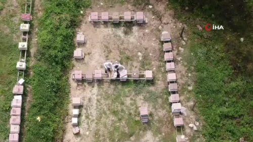 36 yllk ilenin ilk corafi iaretli rn 'Yenice Ihlamur Bal' oldu