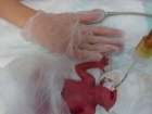 380 Graml�k Azra Bebek Ya�ama Tutundu