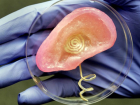 3D Yaz�c� �le �retilen Organlar Sa�l�k Alan�nda Devrim Yaratacak
