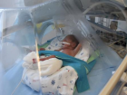 5,5 ayl�k do�an Yavuz Selim bebe�e k�k h�cre tedavisi