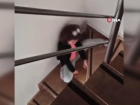5 Yandaki kz ocuu kovid olan salk babasna byle seslendi: 