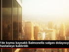 ABD'de K�yma Kaynakl� Salmonella Salg�n�: 16 Ki�i Hastaland�