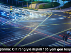 ABD'de yap�lan ara�t�rmada 135 yeni gen pigmentasyonla ili�kilendirildi