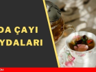 Ada �ay� faydalar�! Ada �ay� ne i�e yarar? Ada �ay�n�n zararlar�! Ada�ay� tansiyon y�kseltir mi? Ada�ay� zay�flat�r m�?