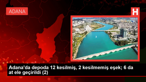 Adana'da tek trnakl hayvan kesimi yaplan adrese baskn dzenlendi