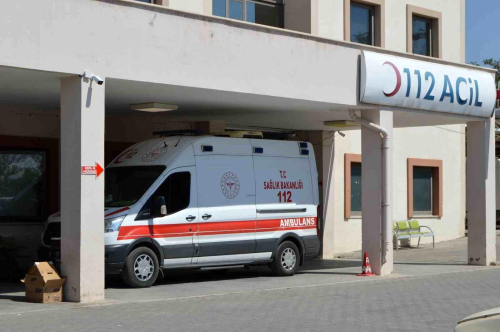 Adyaman'n Besni ilesinde elektrik saya okuma grevlisi akma kaplarak yaraland