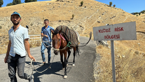 Adyaman'n Gerger ilesinde kuduzlu at tespit edildi, ky karantinaya alnd