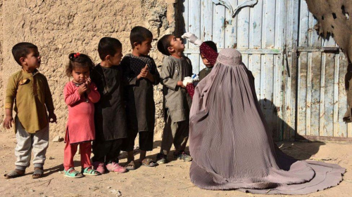 Afganistan'da Taliban'n onayyla lke apnda ocuk felci as kampanyas