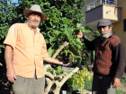 A�a�ta Yeti�en Patl�can Zehirli ��kt�