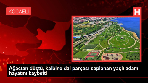 Aatan dt, kalbine dal paras saplanan yal adam hayatn kaybetti