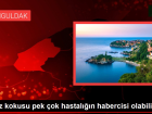 A��z kokusu pek �ok hastal���n habercisi olabilir