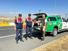 A�r�'da yaral� tilki tedavi alt�na al�nd�