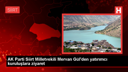 AK Parti Siirt Milletvekili Mervan Gl, yatrmclar ziyaret etti