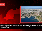 Akdeniz �niversitesi'nde y�ksek s�cakl�k ve kurakl��a dayan�kl� nohut t�r� geli�tirildi