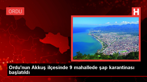 Akku ilesinde ap hastal nedeniyle hayvan hareketlerine kstlama getirildi