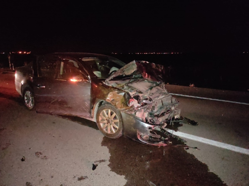 Aksaray'da otomobil koyun srsne arpt: 15 koyun telef oldu