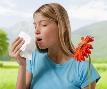 Alerji Tedavi Edilmediinde Astma Yol Aabilir
