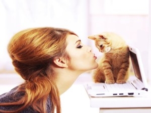 Alerjinizin Nedeni Ofis Arkadaşınızın Kedisi Olabilir!