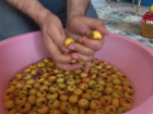 Al�� sirkesi kalp krizi riskini azalt�yor